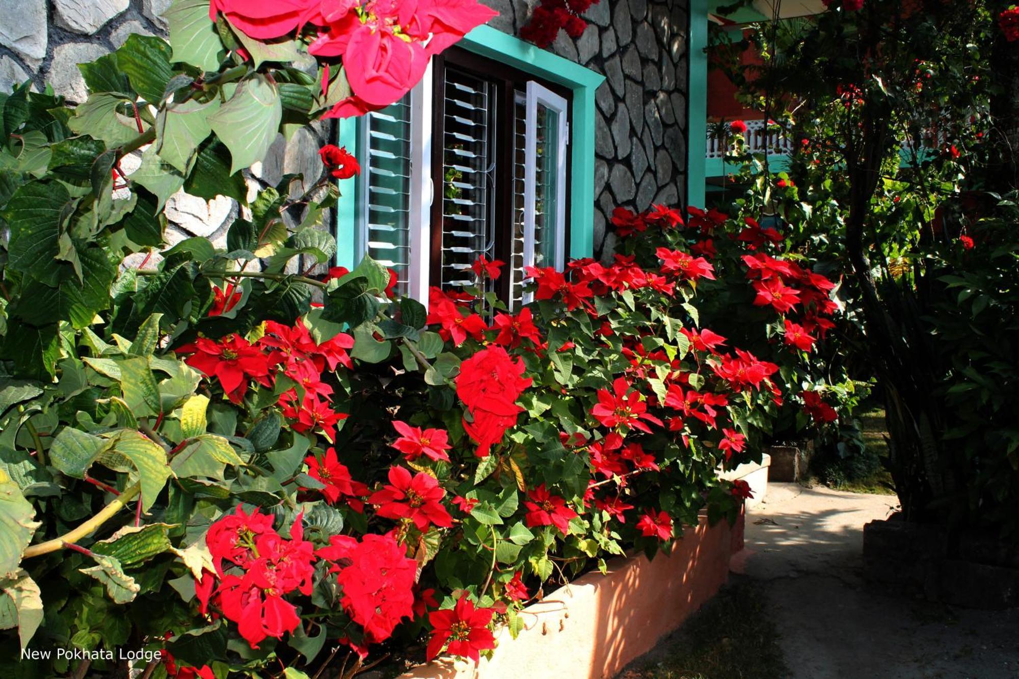 New Pokhara alojamiento Exterior foto